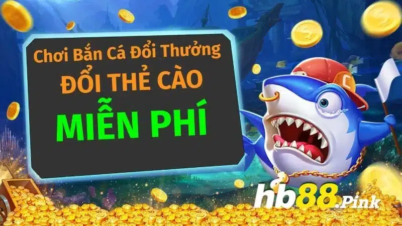 Các kinh nghiệm chơi bắn Các kinh nghiệm chơi bắn cá đổi thưởng thẻ càocá đổi thưởng thẻ cào